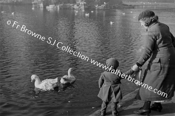 ST STEPHEN'S GREEN FEEDING DUCKS